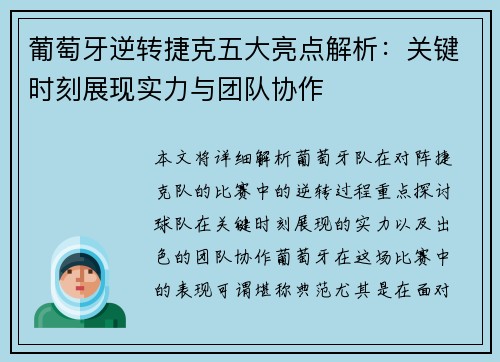 葡萄牙逆转捷克五大亮点解析：关键时刻展现实力与团队协作