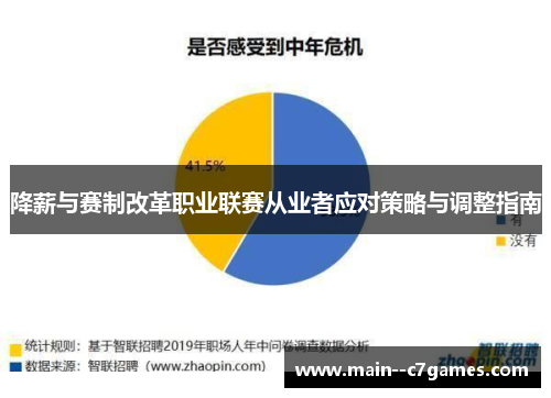 降薪与赛制改革职业联赛从业者应对策略与调整指南